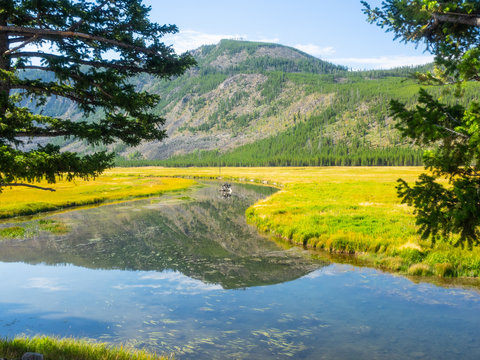 Madison River in Yellowstone National Park