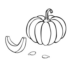 vector pumpkin or squash outline illustration isolated on white background. pumpkin icon. vintage hand drawn pumpkin sketch. outline pumpkin for colouring book, logo, halloween or thanksgiving concept
