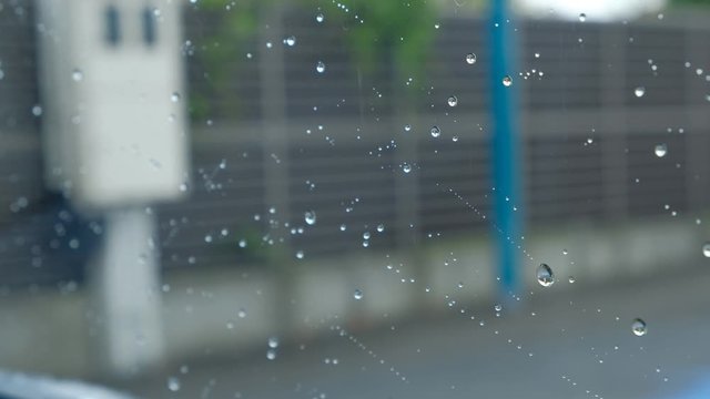 車の窓ガラスを垂れる水滴