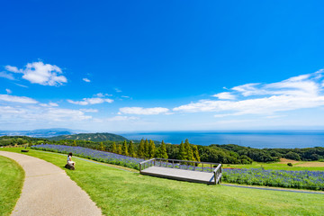 Landscape of Awaji Hanasajiki Park