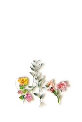 watercolor painting of leaves and flower, on white background