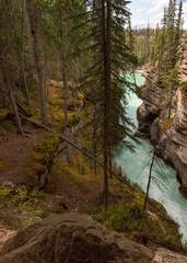 Athabasca Falls