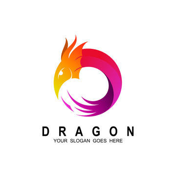 Dragon logo design template ,Vector illustration