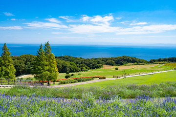 Landscape of Awaji Hanasajiki Park