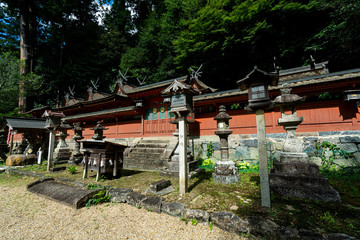 Fototapeta na wymiar The shrines in Japan