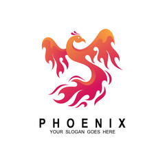Obraz premium Phoenix logo design template. Vector Illustration, Fire-bird, Eagle logo
