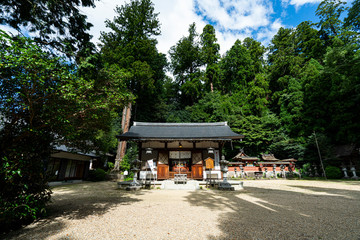 Fototapeta premium The shrines in Japan