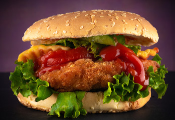 studio shoot delicious  chicken burger