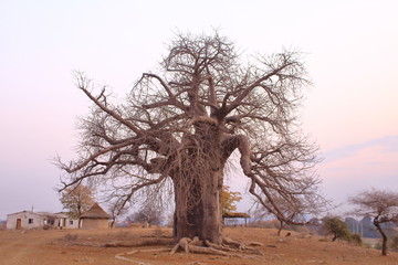 Fototapeta na wymiar Zimbabwe natural scenery