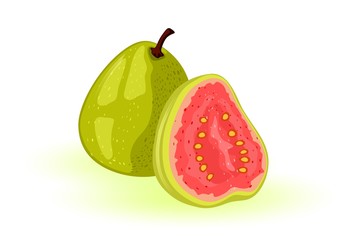 Ripe guava whole and half. Round, oval tropical exotic fruit with green skin and red sweet or sour pulp inside. Ingredient for beverages, sauces, ales, candies, dried snacks, desserts. Vector cartoon
