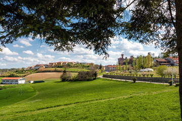 Fototapeta na wymiar Colline del Monferrato