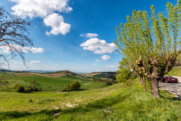 Fototapeta premium Colline del Monferrato