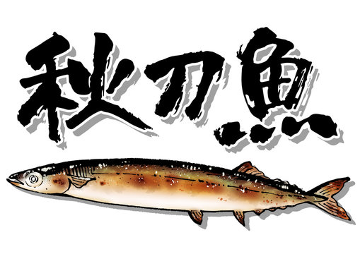 焼き秋刀魚 Images Browse 61 Stock Photos Vectors And Video Adobe Stock