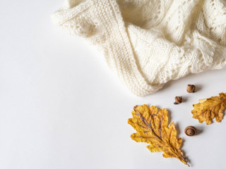 Dry yellow oak leaves and acorns and a warm knitted light plaid. Autumn composition on a white background