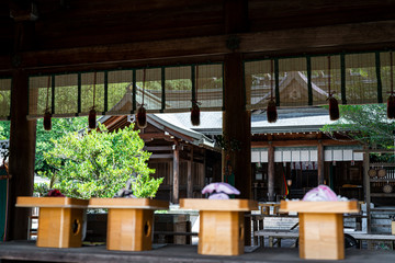 Fototapeta na wymiar Yoshino in Nara