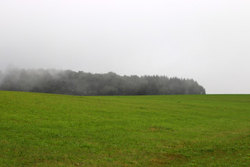 De la brume en Forêt-Noire