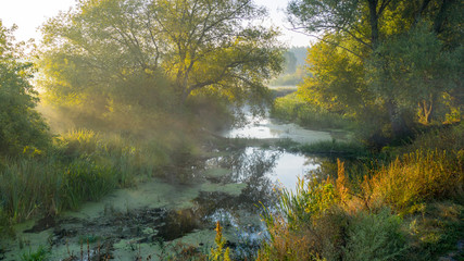 Naklejka na ściany i meble Dawn over the river, fog slowly rising from the water, its rays illuminate it