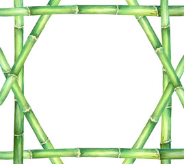 Naklejka premium Frame hexagonal of green bamboo