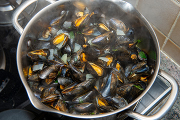 closeup of mussels in cooking pot