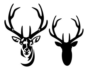 Horns Drawing Front View