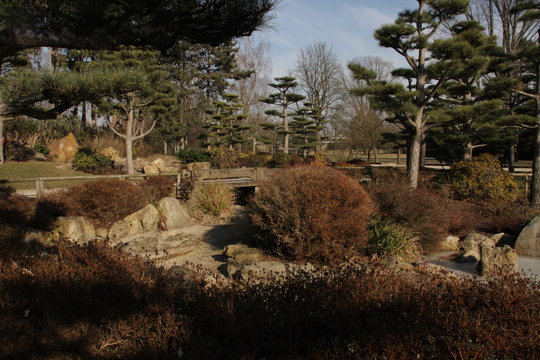 asian parc