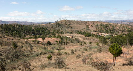 Fototapeta na wymiar Malagasy landscape between Andasibe and Antsirabe, Madagascar