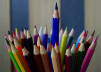 Fototapeta premium color pencils on white background