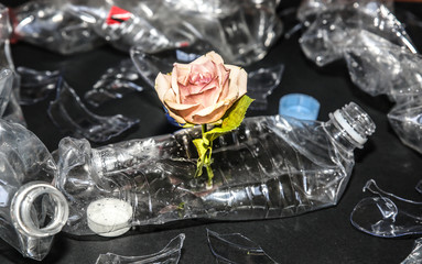 Plastic bottles lying in the pile with a flower. Environmental pollution. Ecological disaster. Recycling problem.