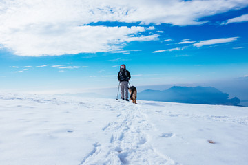 Fototapeta na wymiar hiker walks in snow-covered mountain with his German shepherd dog