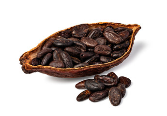 Cocoa pod