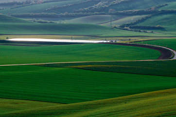Green grass field background