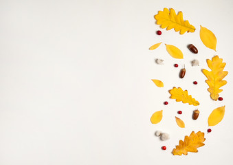 Autumn composition. The ornament is made of yellow oak leaves, acorns, red hawthorn berries on a white background.