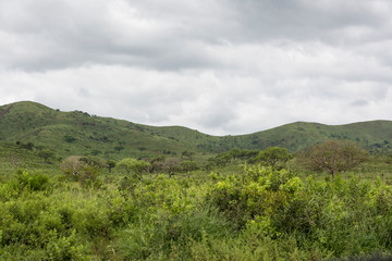 Fototapeta na wymiar Kwazulu natal, South Africa.