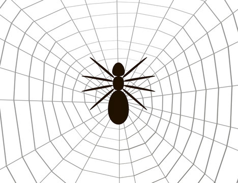 Spider silhouette on the web. View from above. Vector illustration.