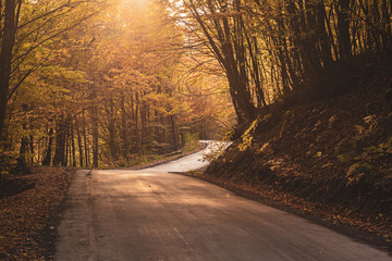 Obraz premium Beautiful autumn landscape