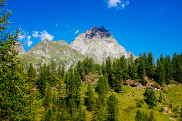 Fototapeta na wymiar Beautiful mountain landscape, Alpe Devero, Italy
