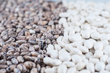 White bean varieties Chali and speckled beans pinto closeup varieties. Macro shot.