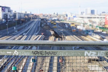Fototapeta premium Train tracks in Berlin Friedrichshain