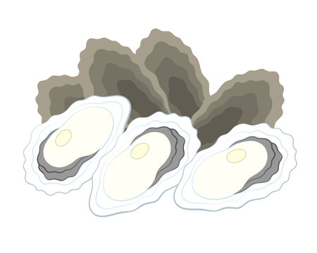oysters, gray shells, white meat, food clip art preview