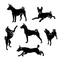 Set of African Basenji dog silhouettes - isolated vector illustration