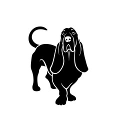 Basset hound dog - isolated vector illustration