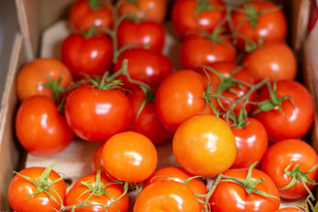Cherry tomatoes on the shelf in the store