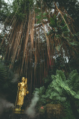 Serene Buddha statue in the wilderness. Jungle scene with tropical plants and  trees. spiritual and tranquil vibes. Deep forest look. Buddhism in Thailand , India, South east asia