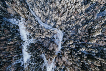 Aerial view of snow covered forest.