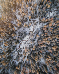 Aerial view of snow covered forest and small river during sunset.