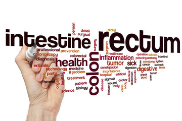 Rectum word cloud