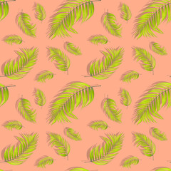 Palm Leaf