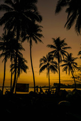 Beautiful tropical sunset with Coconut trees at beach