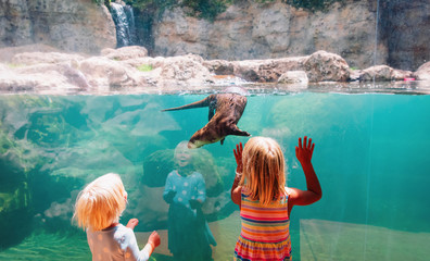 kids-two girls- looking at otter in large aquarium - 289470771