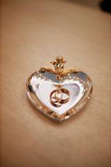 gold wedding rings for lovers